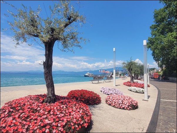 Gardasee23062.jpg