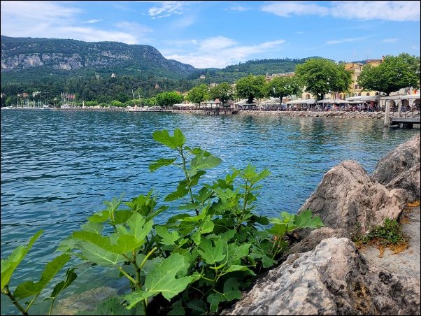 Gardasee23096.jpg