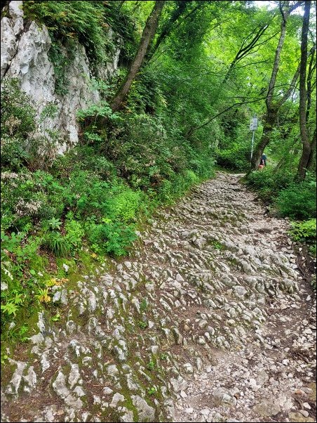 Gardasee23134.jpg