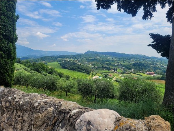 Gardasee23148.jpg