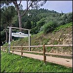Gardasee23022.jpg