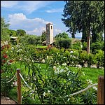 Gardasee23032.jpg