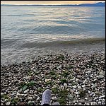 Gardasee23042.jpg