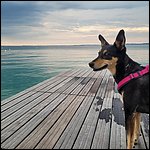 Gardasee23049.jpg