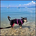 Gardasee23050.jpg