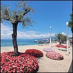 Gardasee23062.jpg