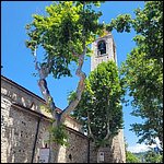 Gardasee23076.jpg