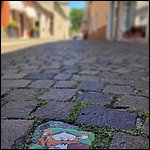 Gardasee23081.jpg