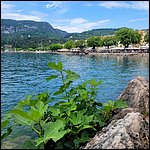 Gardasee23096.jpg