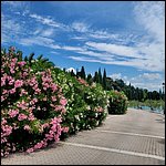 Gardasee23108.jpg