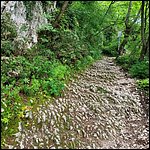 Gardasee23134.jpg