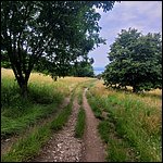 Gardasee23137.jpg