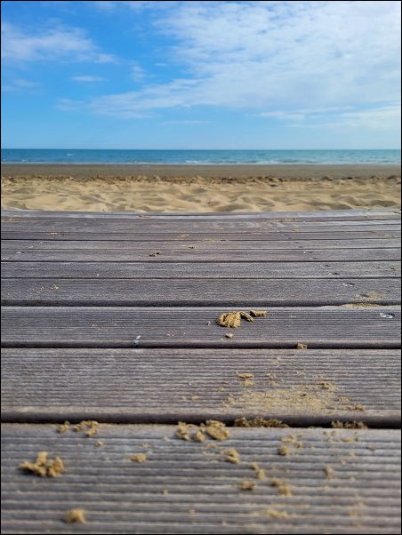 Bibione23010.jpg