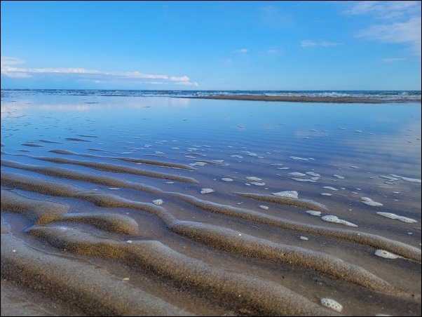 Bibione23011.jpg