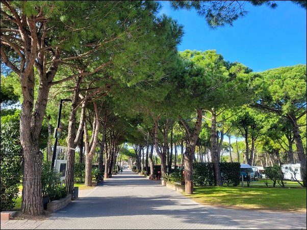 Bibione23013.jpg