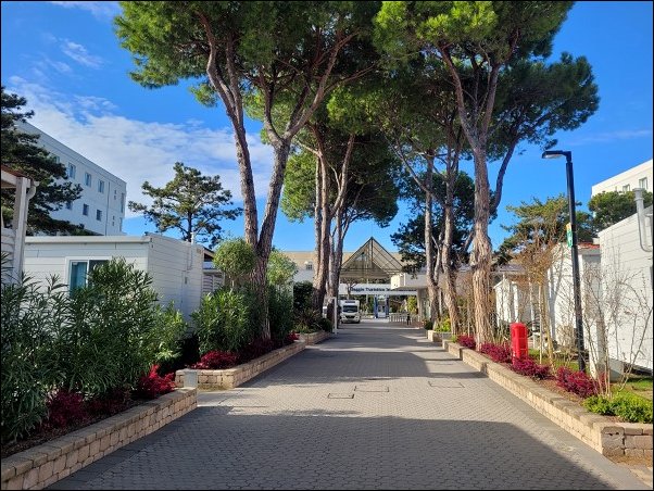 Bibione23015.jpg