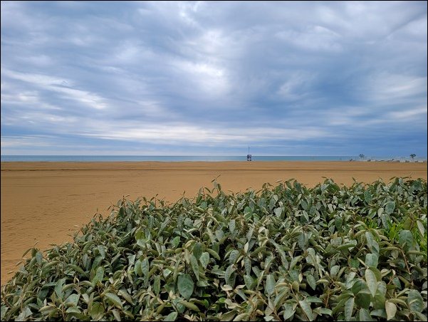 Bibione23018.jpg
