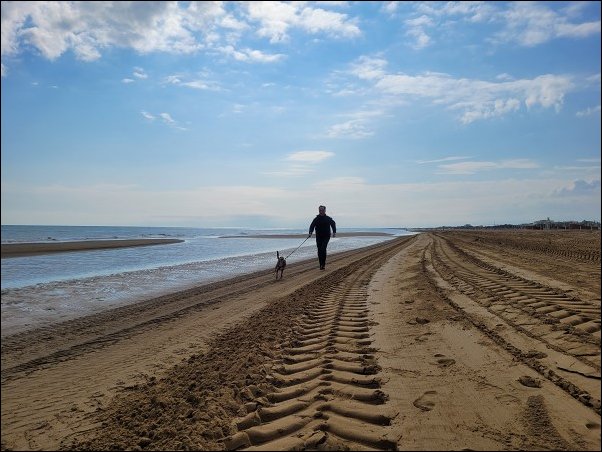 Bibione23025.jpg