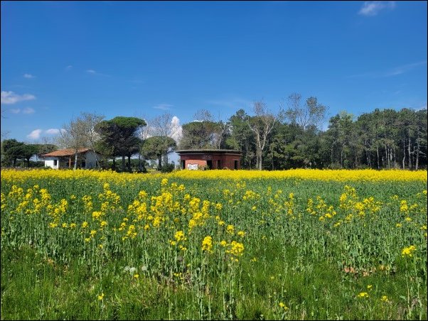 Bibione23032.jpg