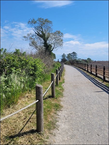 Bibione23035.jpg