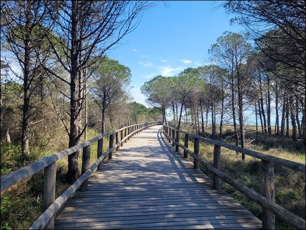 Bibione23036.jpg