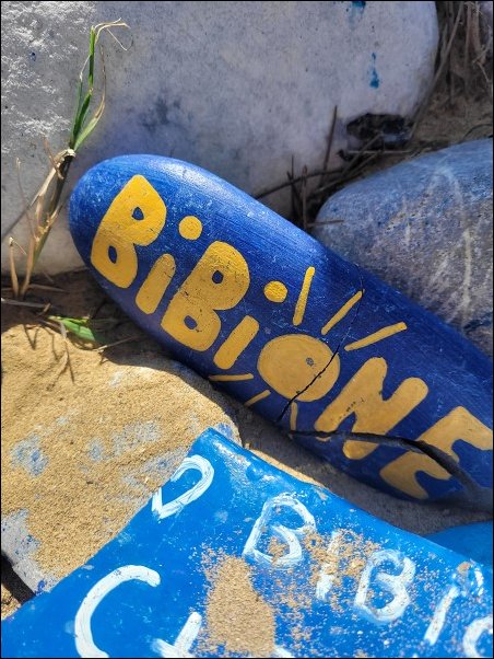 Bibione23038.jpg