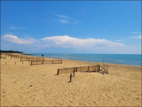 Bibione23040.jpg