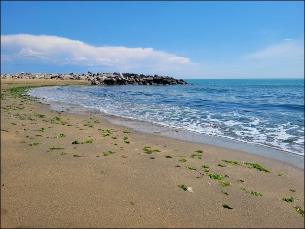 Bibione23044.jpg