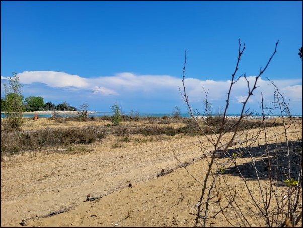 Bibione23050.jpg