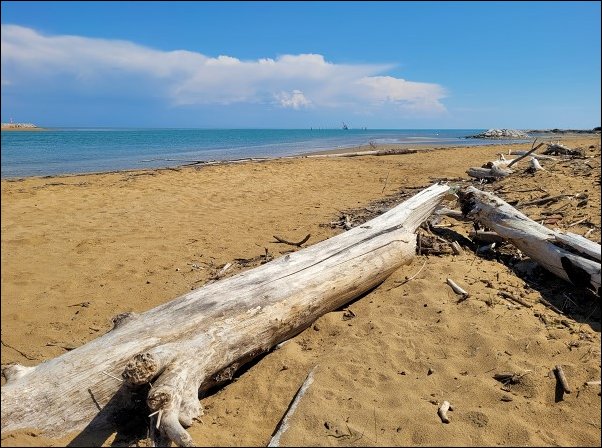 Bibione23051.jpg