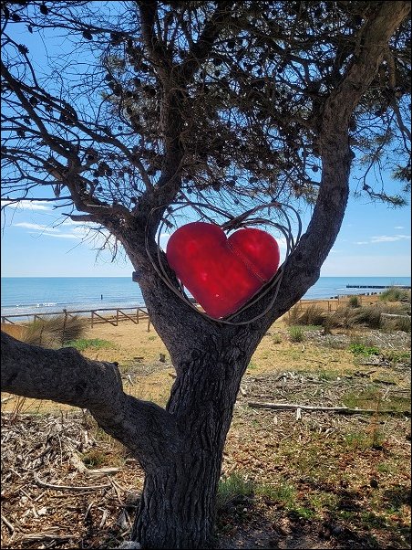 Bibione23053.jpg