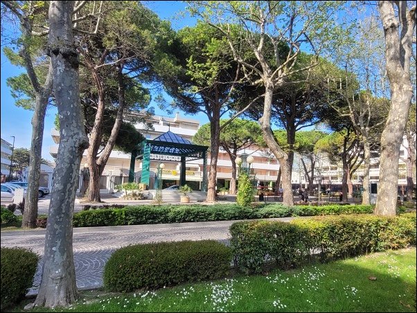 Bibione23061.jpg
