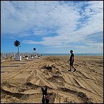 Bibione23004.jpg