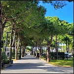 Bibione23013.jpg