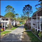 Bibione23014.jpg