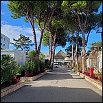 Bibione23015.jpg