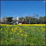 Bibione23032.jpg