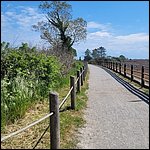 Bibione23035.jpg