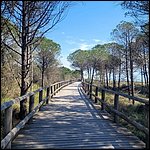 Bibione23036.jpg