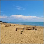 Bibione23040.jpg