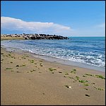 Bibione23044.jpg