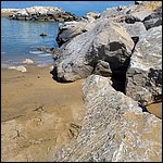Bibione23046.jpg
