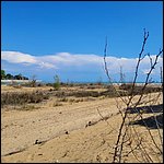 Bibione23050.jpg