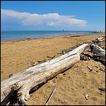 Bibione23051.jpg