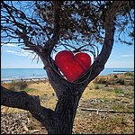 Bibione23053.jpg