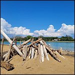 Bibione23054.jpg
