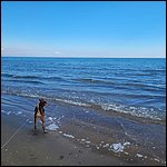 Bibione23057.jpg