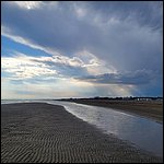 Bibione23058.jpg