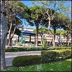 Bibione23061.jpg