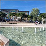Bibione23062q.jpg